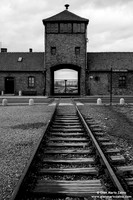 Poland - Oświęcim (Auschwitz) (25/12/2013)