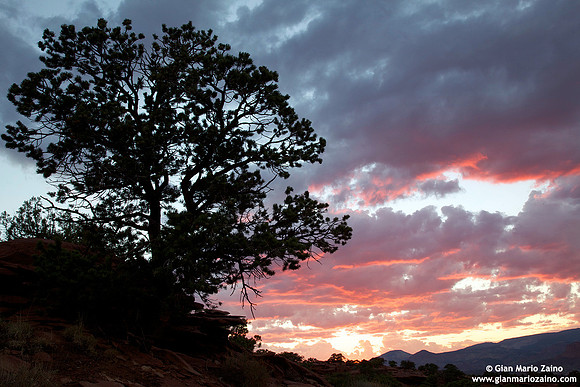 USA - Utah, Capitol Reef National Park (26/08/2012)