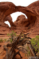 USA - Utah, Arches National Park (23/08/2012)