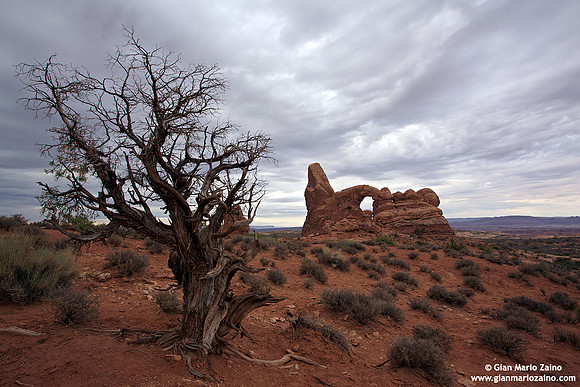 USA - Utah, Arches National Park (22/08/2012)