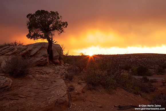 USA - Utah, Arches National Park (24/08/2012)
