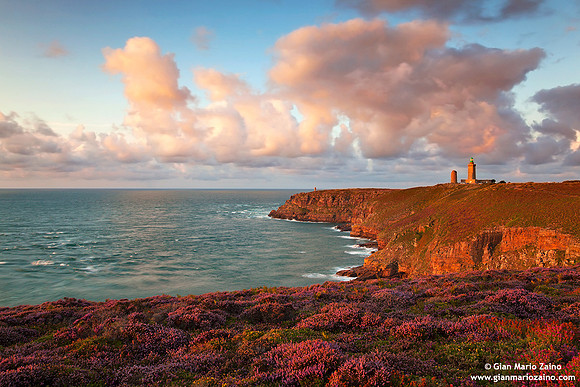 France - Cap Fréhel (14/08/2014)