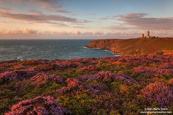 France - Cap Fréhel (13/08/2014)