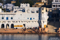 Pushkar (2007)
