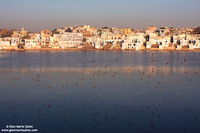 Pushkar (2007)