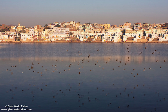 Pushkar (2007)