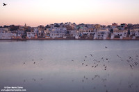 Pushkar (2007)