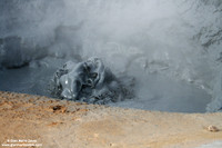 Hverarönd - Mývatn (2006)