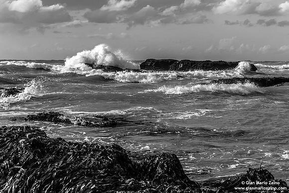France - Étretat (11/08/2014)
