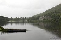 Ireland - Killarney Abbey (2008)