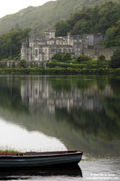 Ireland - Killarney Abbey (2008)