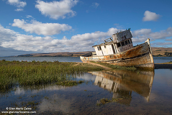 USA - Inverness - Point Reyes National Seashore (04/08/2015)