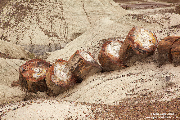 USA - Arizona, Petrified Forest National Park (16/08/2012)