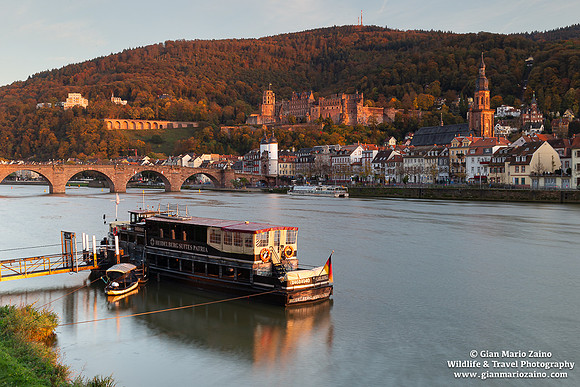 Germany - Heidelberg (25/10/2024)