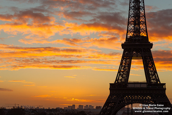 France - Paris (30/12/2012)