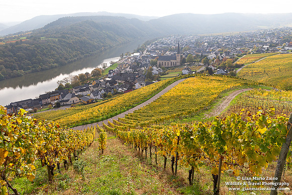 Germany - Kröv (27/10/2024)