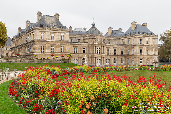 France - Paris (30/10/2024)