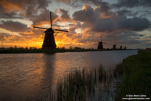 Nederlands - Kinderdijk (26/04/18)