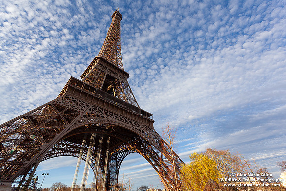 France - Paris (29/12/2012)