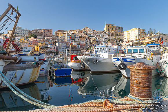 Sciacca (2024)