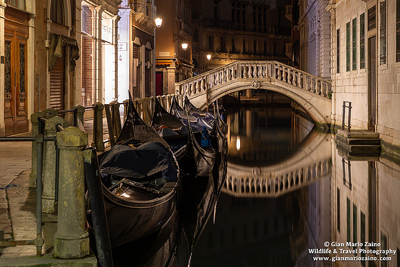 Venezia (03/03/25)
