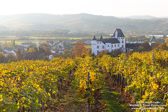 Germany - Nennig (26/10/2024)