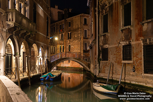 Venezia (02/03/25)